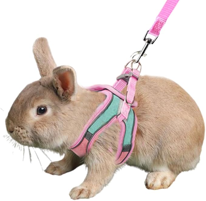 Anelekor Bunny Harness and Leash Set Reflective Strip Kitten Vest Harness Escape Proof Rabbit Leash Walking Pet Accessorie...