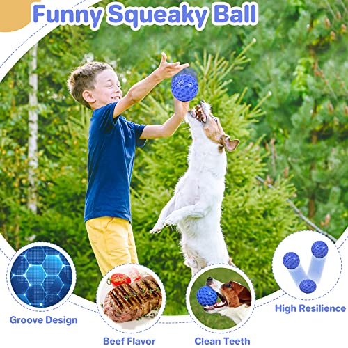 DISSKNIC Indestructible Squeaky Dog Ball, Relieves Anxiety, Cleans Teeth, Interactive Chew Toy for Aggressive Chewers, Dog...