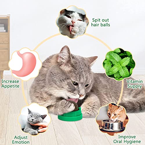SINROBO 3 Pack Catnip Balls, Catnip Ball for Cats Wall, Edible Kitty Toys for Cats Lick, Safe Healthy Kitten Chew Toys, Te...