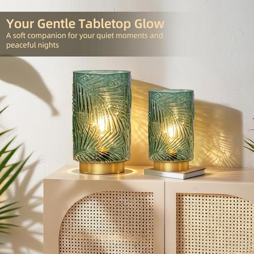 Battery Operated Table Lamp, Cordless Lamps for Home Decor, Battery Powered Nightlight with LED Bulb with Timer, Decorativ...