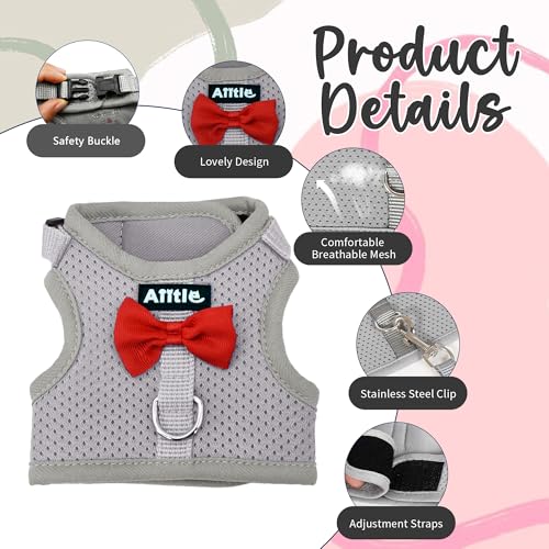 AIITLE Rabbit Harness and Leash Set with Cute Bow, Soft Breathable Mesh Vest Harness for Rabbits Kitten Ferret Puppy Small...