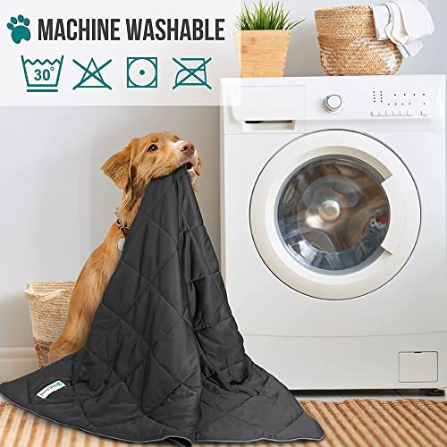 PetAmi Premium Cooling Dog Blanket | Lightweight Fluffy Pet Throw Blanket Bed Cover for Dogs, Cat, Puppies | Pet Blanket F...