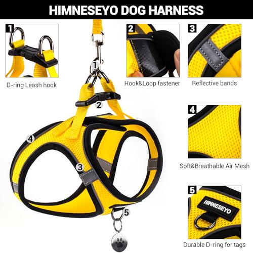 Dog Harness and Leash Set, Dog Harness for Dogs No Pull, No-Chock Step-in Reflective Breathable Lightweight Easy Walk Vest...