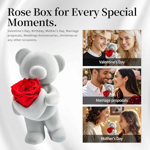 SEEROSE Preserved Rose with Cute Bear, Eternal Real Rose Last for Years, Romantic Flower Gift for Her, Wife, Girlfriend, V...