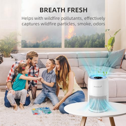 AromaRoom Air Purifiers for Bedroom with True HEPA13 Filters 3-in-1, Pet Air Purifier with Aroma Pad for Wildfires Smoke P...