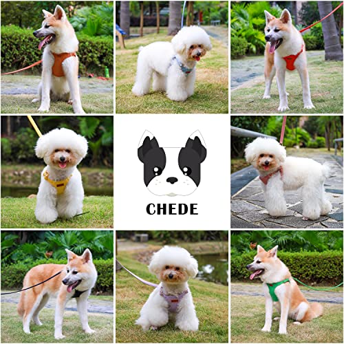 CHEDE No Pull Puppy Harness and Multifunction Dog Leash Set- 8 Colors Soft Adjustable No Choke Escape Proof Cute,Lightweig...