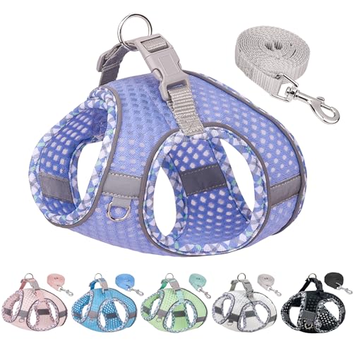 JOYPAWS Soft Dog Harness and Leash Set for Walking, Summer Step in Vest Harness, Reflective Bands, Ultra Thin Breathable P...