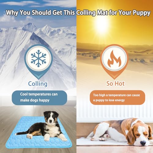 Dog Cooling Mat, 2025 Upgraded Cooling Blanket for Dogs, Washable Cool Mat for Dogs for Summer, Portable Pet Coolings Pad ...
