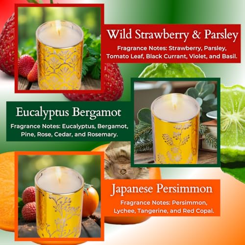 Aromatherapy Candle Gift Set of 3 Scented Candles | Strawberry Parsley, Persimmon, Eucalyptus Bergamot Soy Candles Set, Go...