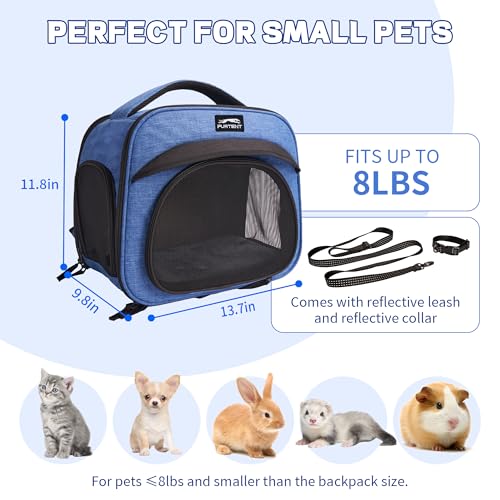 Small Pet Carrier, Breathable Collapsible Pet Bag with Safety Leash for Small Puppy, Kitten, Guinea Pig Weighing up to 8 P...