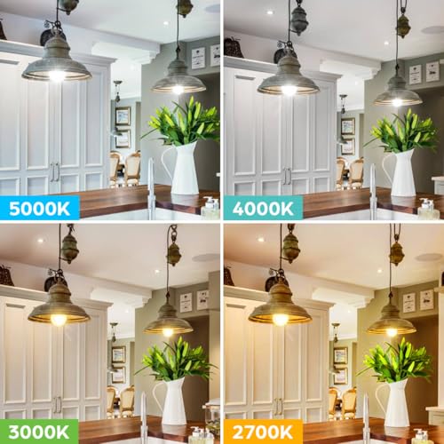 LED Light Bulbs 100W Equivalent 1500 Lumens, A19 13W 5000K Daylight White Non-Dimmable, Super Bright No Flicker Standard E...