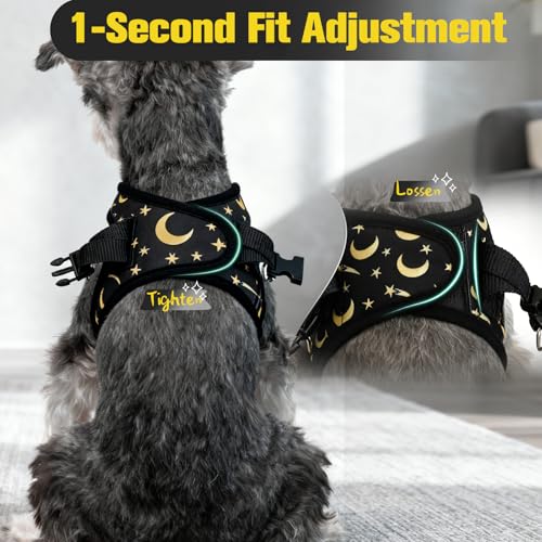 EXPAWLORER Small Dog Harness and Leash Set - Cute Puppy Harness Leash Dog Collar with AirTag Holder Silicone Case, Soft Pa...