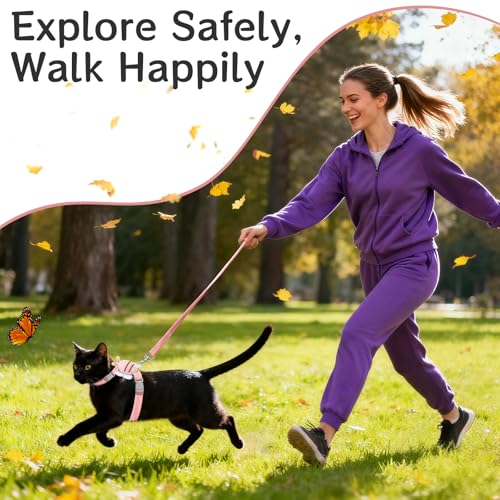 Cat Harness and Leash Set - Escape Proof Adjustable Soft Vest for Cats, Breathable Comfortable Kitten Harness for Outdoor ...