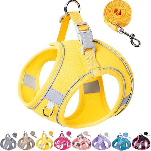 Aecllcea Dog Harness for Small Medium Sized Dog, Puppy Harness and Leash Set Training, Dog Harness and Leash Set, Dog Vest...