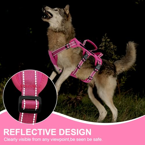 Escape Proof Dog Harness for Large Medium Sized Dogs Six Point Adjustable, Service Dog Vest Harness and Leash Set, No Pull...