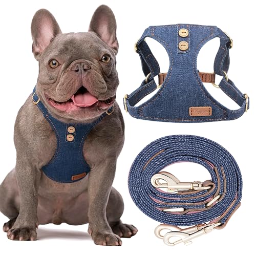 No Pull xs Dog Harness with Multifunction Dog Leash,Soft Adjustable No Choke Escape Proof Pet Harness Vest,Denim Blue,XXS