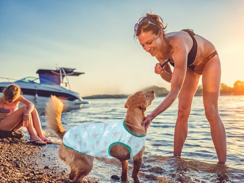 Lightweight Breathable Dog Cooling Shirts, Quick Dry Dog Sunscreen Shirt, Professional Pet Summer Vest for Small Medium La...