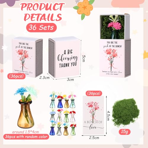 36 Sets Mother's Day Bulk Gifts for Women Teacher Nurse Appreciation Positive Mini Bud Vases with Flower Office Desk Decor...