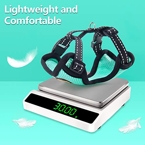 AWOOF Reflective Kitten Harness and Leash Escape Proof with Car Seat Belt, Adjustable Cat Puppy Walking Jacket with Metal ...
