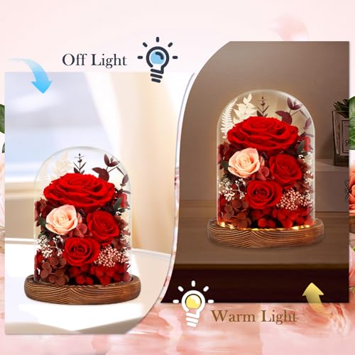 Alupssuc Forever Preserved Real Flowers for Delivery Prime, Eternal Fresh Roses in Glass Dome with LED Lights, Mothers Day...