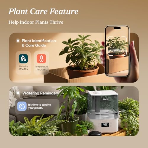 LEVOIT Humidifiers for Bedroom Large Room Home, (6L) Cool Mist Top Fill Essential Oil Diffuser for Baby & Plants, Smart Ap...