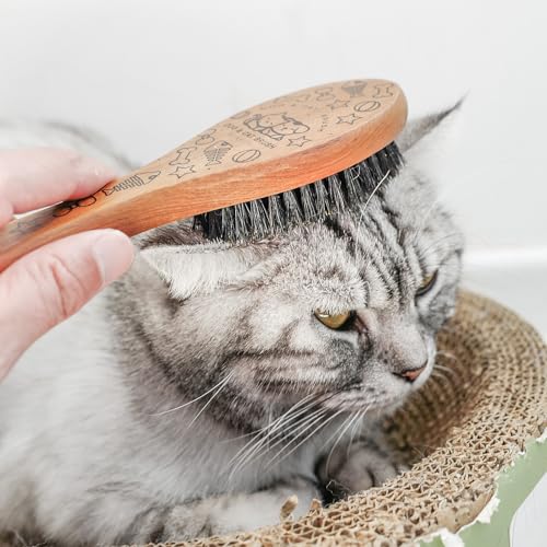 Menesia Pet Soft Brush with Wood Handle and Boar Bristle Hair - Soft Cat and Dog Grooming Brush for Short Hair Cats and Sm...