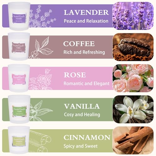 Toptime Candles for Home Scented, 6 Pack Aromatherapy Candle Gift Sets for Women, Nature Soy Wax Jar Candles 13.2oz 72h Bu...