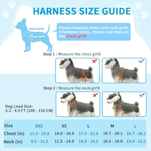 Lukovee No Pull Dog Harness and Leash Set, Soft Padded Small Dog Harness, Neck & Chest Adjustable Reflective Vest Puppy Ha...