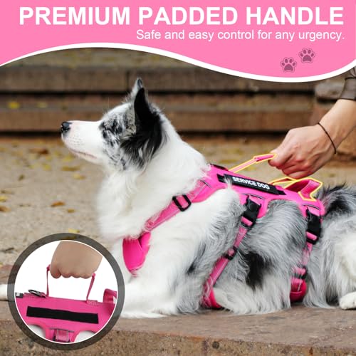 Escape Proof Dog Harness for Large Medium Sized Dogs Six Point Adjustable, Service Dog Vest Harness and Leash Set, No Pull...