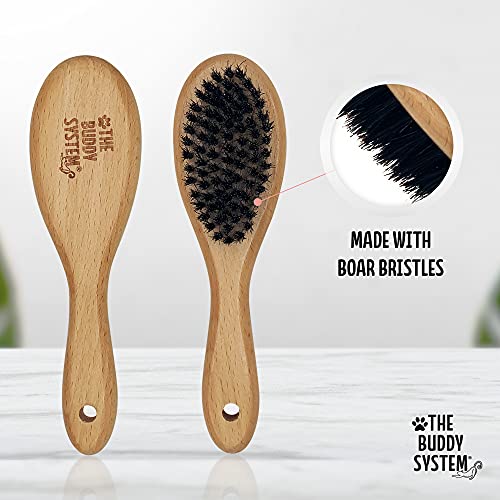 The Buddy System Cat Brush with Boar Bristle and Wooden Handle, Professional Grade Daily Grooming Hairbrush, Reduce Sheddi...