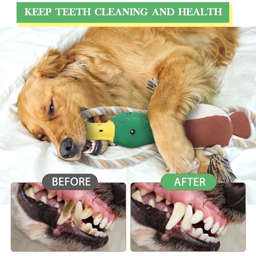 Letsmeet Lesmeet Upgraded Duck Dog Toys Puppy Toys with Crinkle Paper and Squeaker, Interactive Tug of War Dog Toy for Sma...