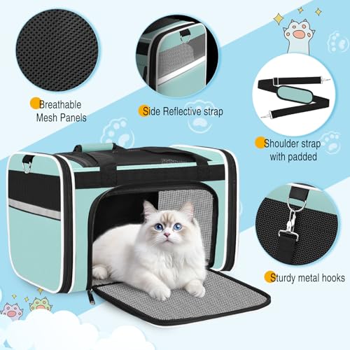 HUANLANG Soft-Sided Cat Carrier Airline Approved,Dog Carriers for Small Dogs Medium Cats,Pet Travel Carrier Up to 15 Lbs,C...