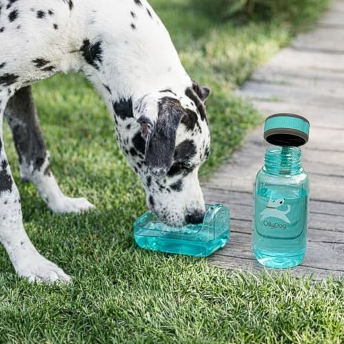 OllyDog OllyBottle, Dog Water Bottle with Detachable Bowl, No Spill Travel Bottle for Dogs, Wide Drinking Cup, BPA-Free Tr...