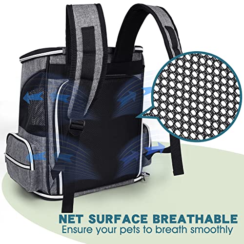 BAGLHER Expandable Pet Carrier Backpack，Pet Backpack for Small Cats Puppies Dogs Bunny, Airline-Approved Ventilate Backpac...