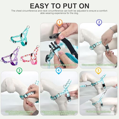 EXPAWLORER No Pull Small Dog Harness and Leash Set, Adjustable Soft Breathable Mesh Puppy Vest with Padded, Quick Fit Esca...