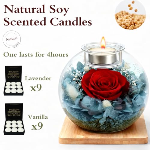 cdco Preserved Real Rose in Glass with Scented Candles for Mom Her Wife Girlfriend Grandma Birthday Anniversary Romantic