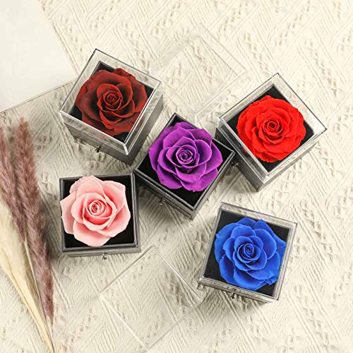 Skalago Preserved Real Rose Drawer with Heart Necklace I Love You in 100 Languages Gift Set, Handmade Enchanted Real Rose ...