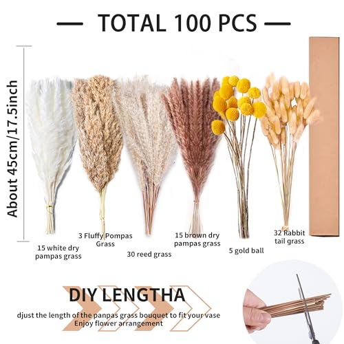 100PCS Natural Dried Pampas Grass Decor - 17.5" Fluffy Pampas Grass Bouquet - Boho Home Decor Dried Flowers for Wedding Fl...