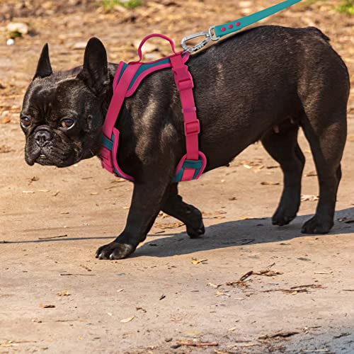 Wolfone No Pull Dog Harness Adjustable Soft Padded Pet Vest with Control Handle Adorable Daily Harness for Dogs（Viridian G...