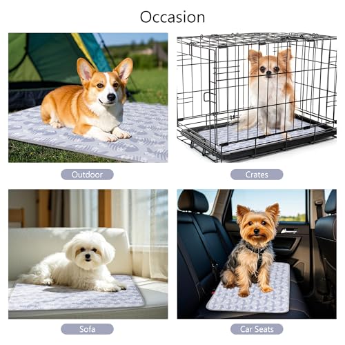 DELIFUR Cat Cooling Mat- Pet Cooling Mat Outdoor for Dogs Self Cooling Pad for Kitten Cat Puppy Machine Washable (Small, G...