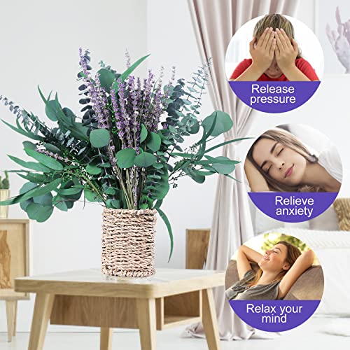 52 PCS Mix Dried Eucalyptus & Lavender Flowers Bundles for Shower, 17'' Natural Real Hanging Silver Dollar Eucalyptus Leav...
