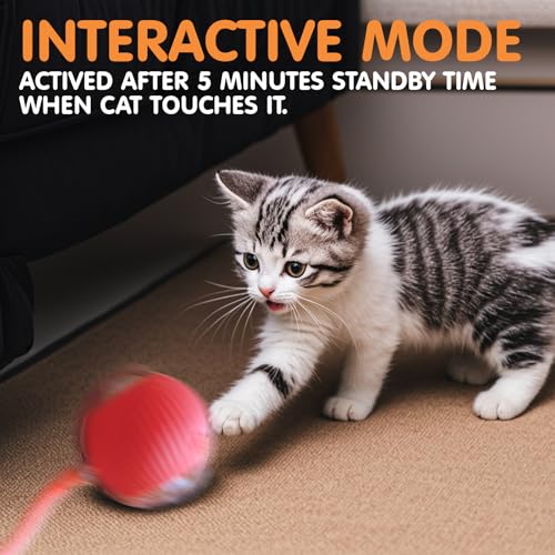Rocfish Durable Interactive Cat Toys for Indoor Cats, Smart Automatic Cat Chase Ball Toy, Upgraded Speedy Tail Kitten Toy ...