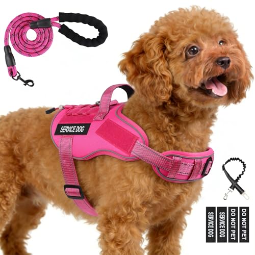 Service Dog Vest, No Pull Dog Harness Small Medium Sized Dog, Service Dog Harnesses and Leash Set, Reflective Easy Walk Do...