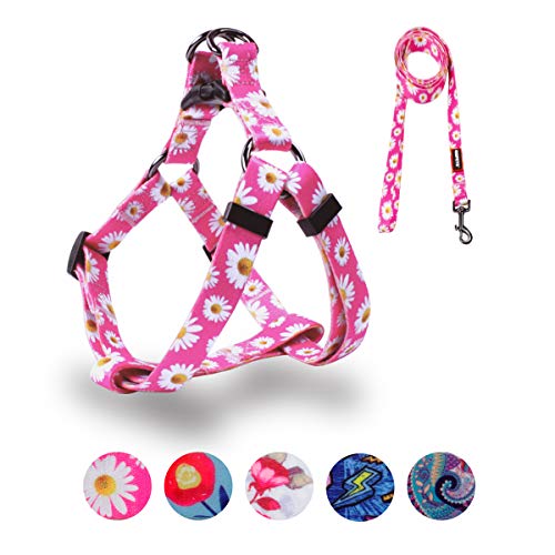 QQPETS Dog Harness Leash Set Adjustable Heavy Duty No Pull Halter Harnesses for Small Medium Large Breed Dogs Back Clip An...