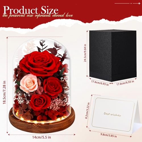 Alupssuc Forever Preserved Real Flowers for Delivery Prime, Eternal Fresh Roses in Glass Dome with LED Lights, Mothers Day...
