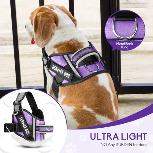 Animire Service Dog Harness and Leash Set, XS, Purple, with 10 Patches, Reflective, for Small Dogs