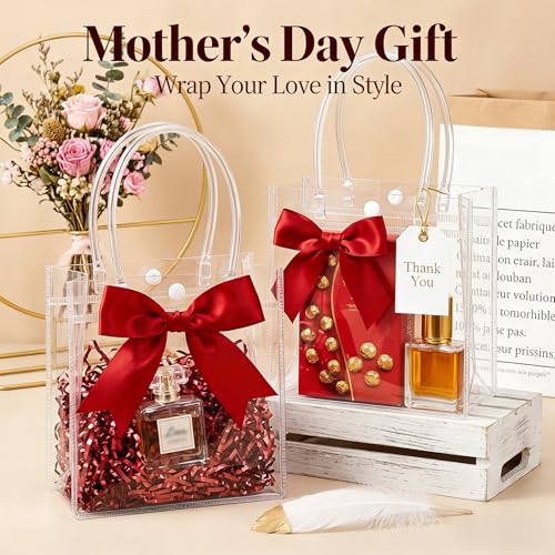 MAQIHAN Clear Gift Bags with Handles - 10 Party Favor Candy Bags, Plastic Goodie Bags Transparent, bolsitas, for Valentine...