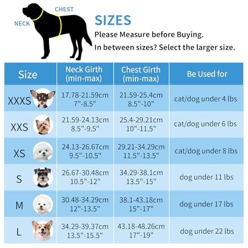AIITLE Dog Harness and Leash Set - Ultra-Comfortable XXS-XL Vest with Strong Magic Tape & Glow-in-Dark Reflective Strips, ...