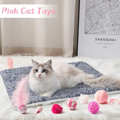 MALLMALL6 10Pcs Cat Toy Set Interactive Cat Toys Pack Including Feather Teaser Wand Cat Springs Mice Crinkle Balls and Pet...