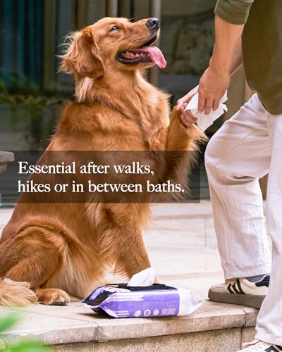 HICC PET Wipes for Dogs and Cats, Vet-Recommended Pets Cleaning Wipes, Deodorizing Hydrating, Nourishes Smoothes Fur, Ferm...